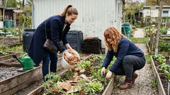 Gemüsegarten ohne Wochenendstress: 11 Gewohnheiten, die ich gestrichen habe – und die Ernte leidet nicht