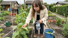 Gurken gesund durch den Sommer: Ein Wochenrhythmus, der Mehltau früh ausbremst