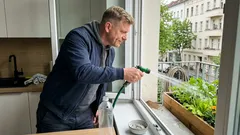 Ameisen im Beet: Was meist dahintersteckt – und 3 gartentaugliche Schritte